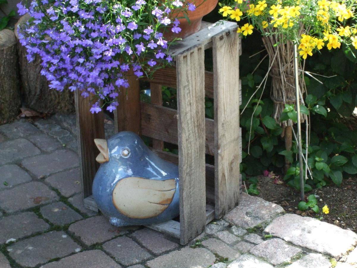 Haus Mittelberg Appartement Olsberg Buitenkant foto