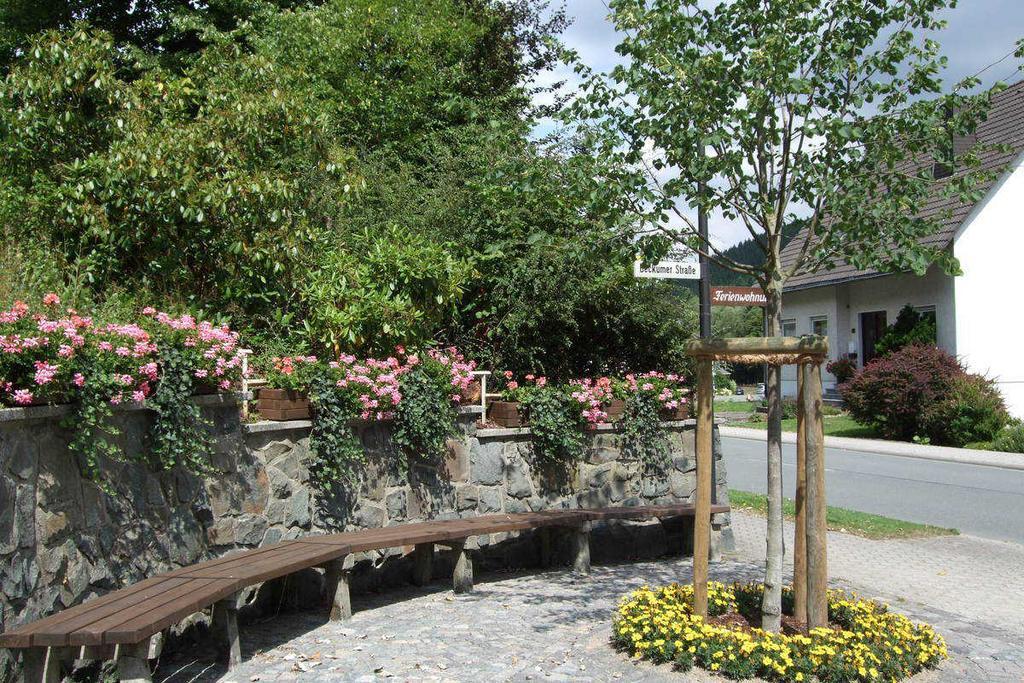 Haus Mittelberg Appartement Olsberg Buitenkant foto