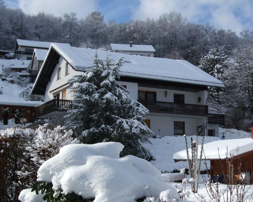 Haus Mittelberg Appartement Olsberg Kamer foto