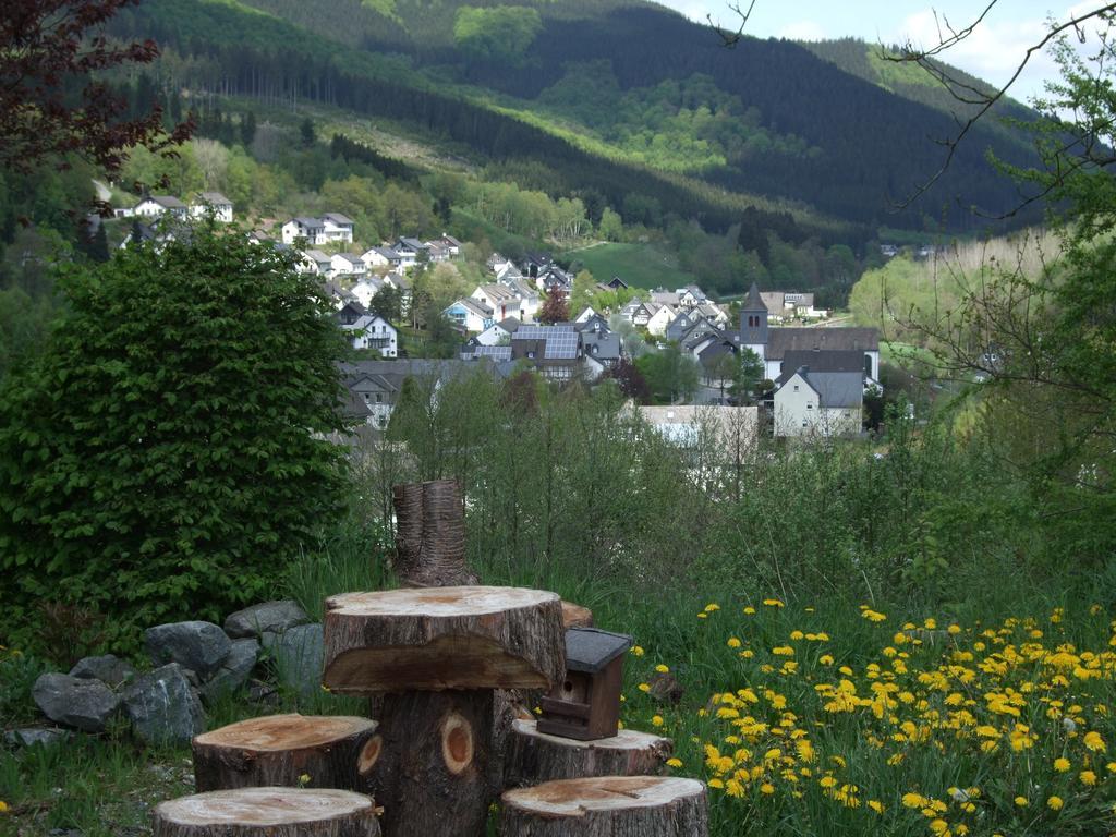 Haus Mittelberg Appartement Olsberg Kamer foto