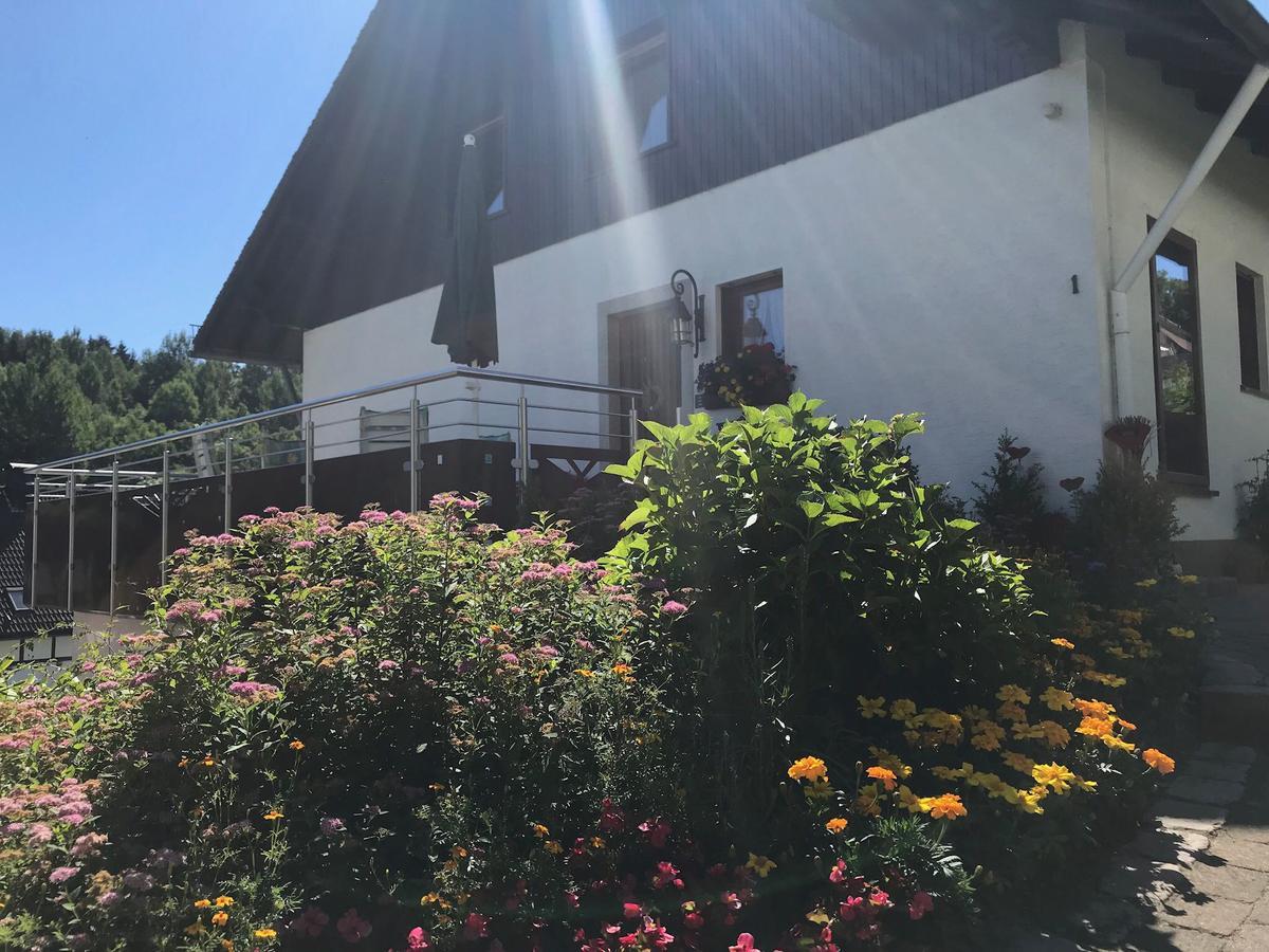 Haus Mittelberg Appartement Olsberg Buitenkant foto